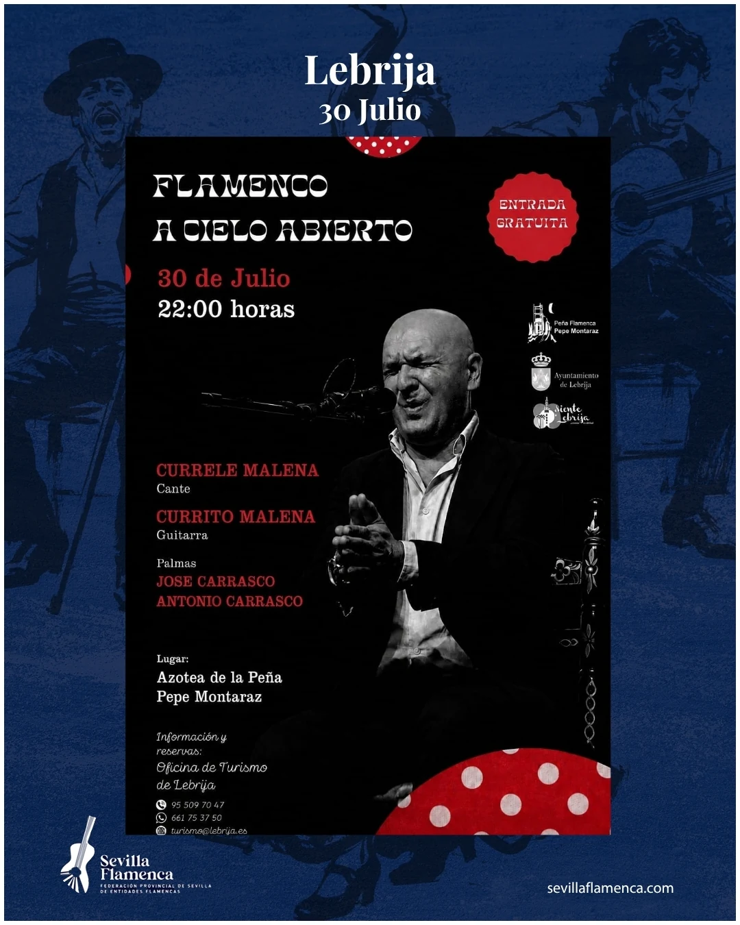 Flamenco a cielo abierto